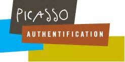 picasso authentication.